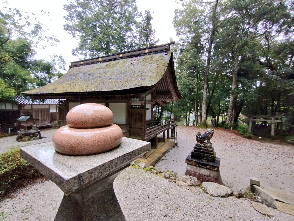 滋賀　
小野神社(大津市)

祀られている米餅搗大使主命は、日本で最初に餅をついた餅造りの始祖といわれ、現在はお菓子の神様ととして信仰を集める。
小野小町や小野妹子の一族に関係する神社。