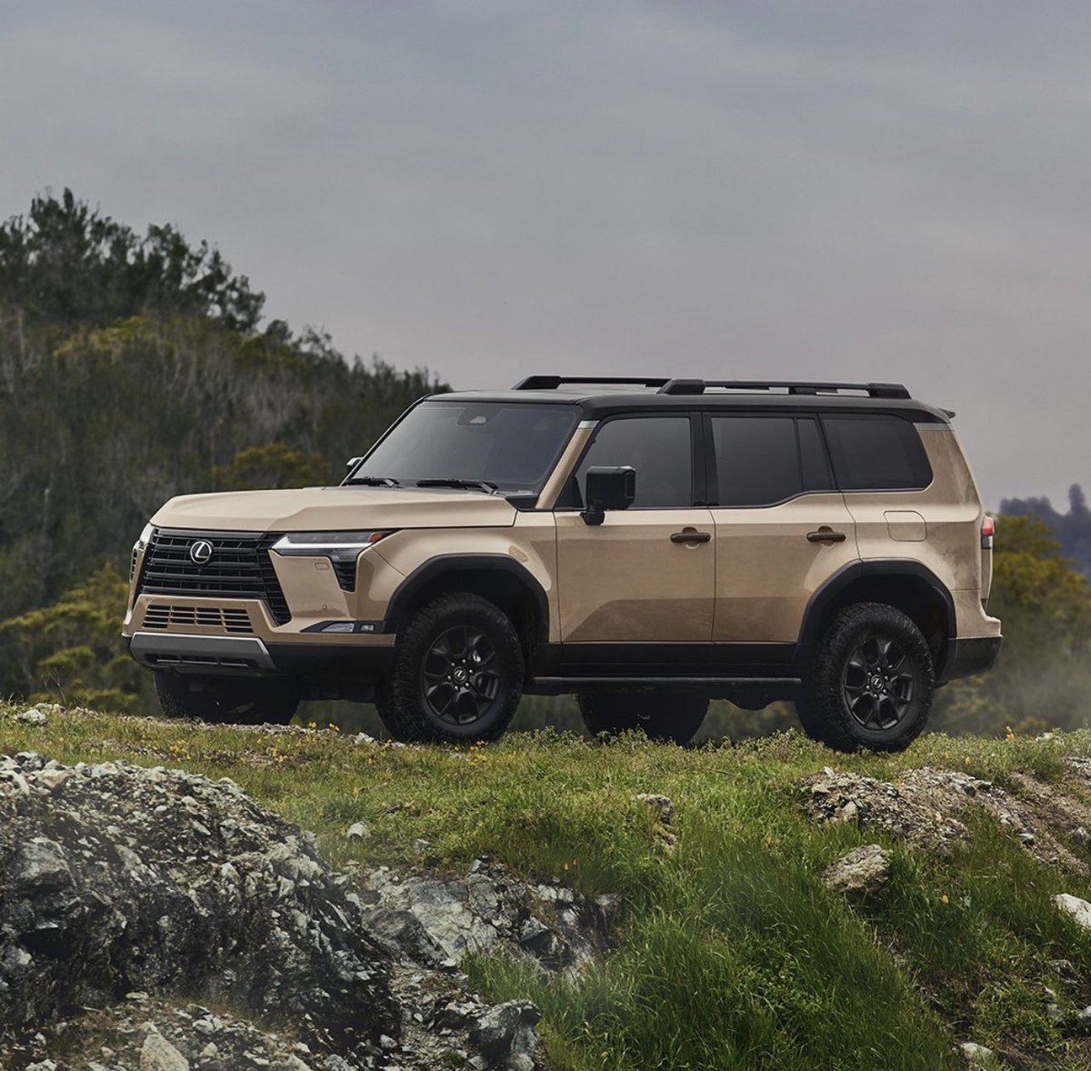 David Hall tweet media