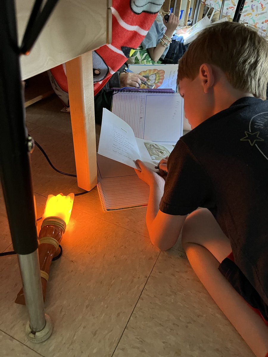 Arielle Lutzer tweet media