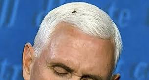 UpcycledTrash's tweet photo. This is the best day on the internet since that fly landed on Mike Pence’s head. https://t.co/ii7bDzFxse