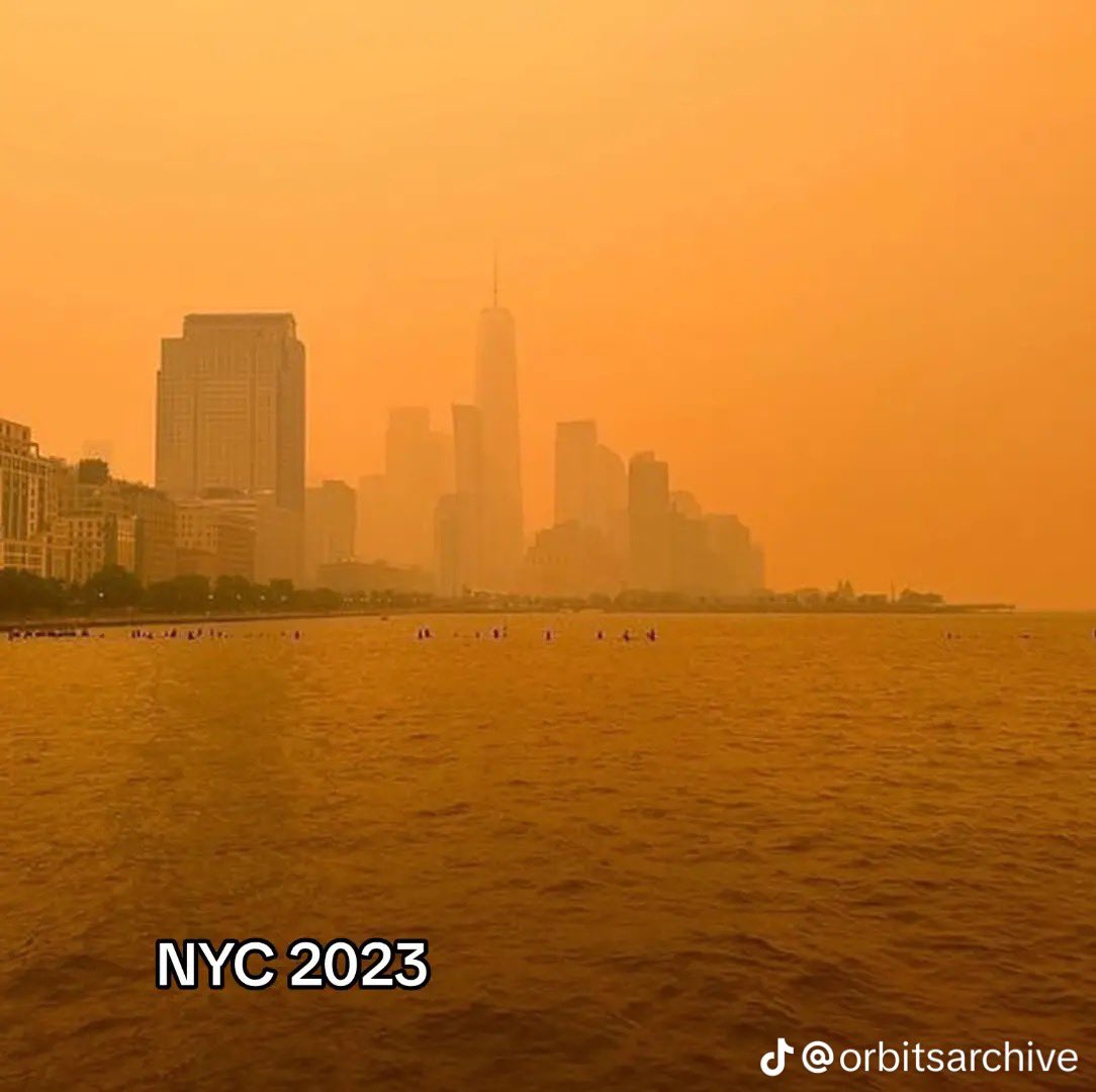 MagicTurtle545's tweet image. Holy fuck