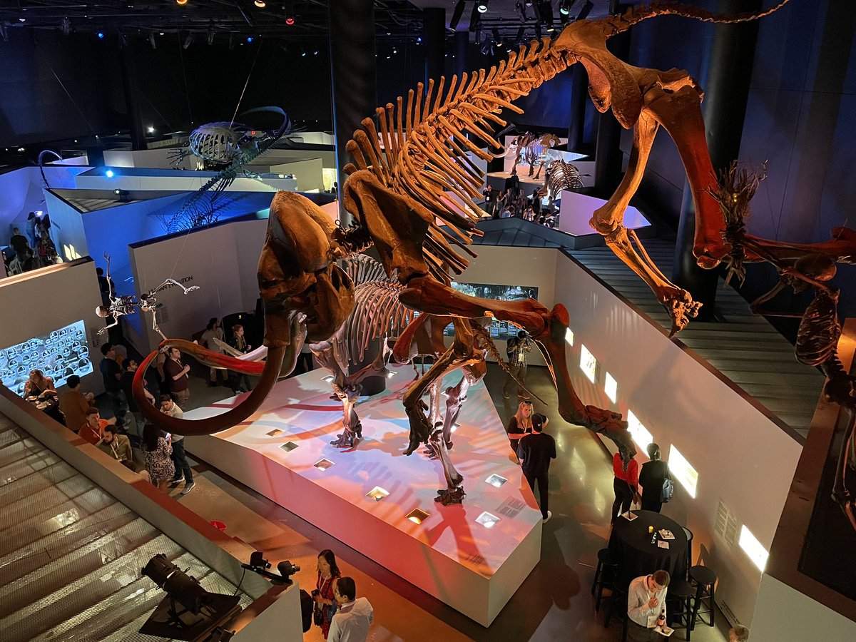Karsa (@karsadetection) on Twitter photo #ASMS2023 itās a wrap. Closing event at <a href="/hmns/">The Houston Museum of Natural Science ā¤ļøš¦š§ š</a> . Looking forward to continue discussions with customers and collaborators #ASMS2023 itās a wrap. Closing event at <a href="/hmns/">The Houston Museum of Natural Science ā¤ļøš¦š§ š</a> . Looking forward to continue discussions with customers and collaborators