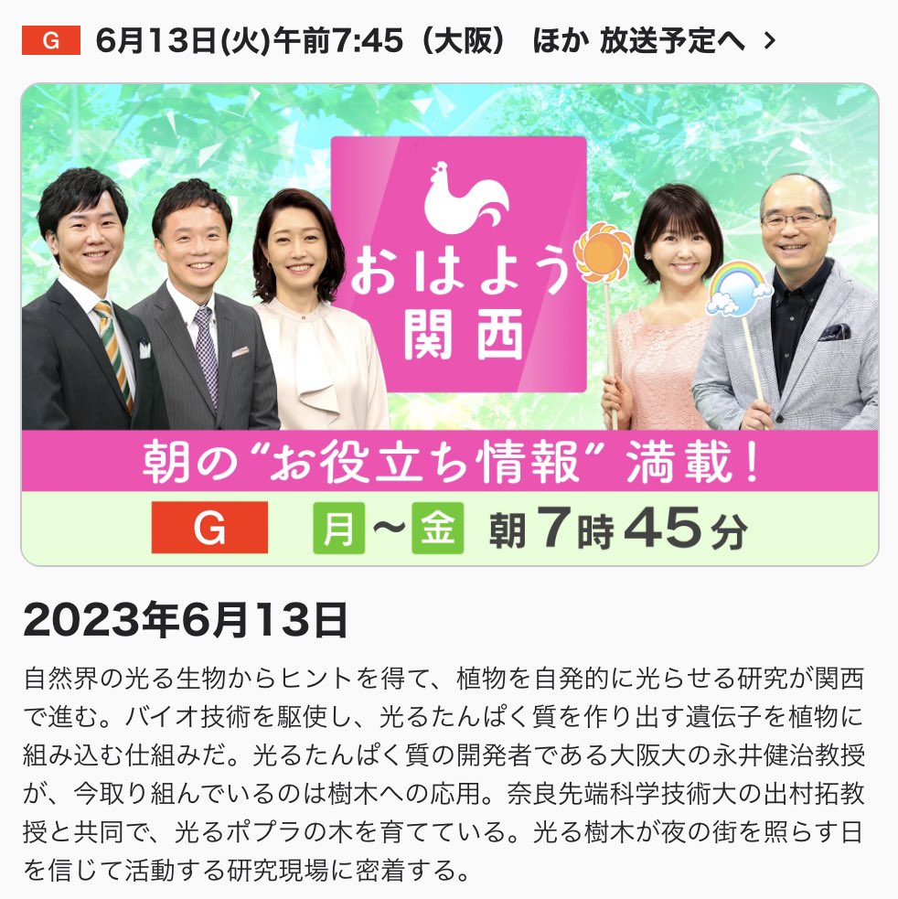 Lab_Nagai's tweet photo. 6月13日(月)に放映されるNHKおはよう関西に出演します！朝ドラ直前です。「もし万太郎が光る植物を見たらなんて話しかけるのだろう？」と、牛田アナがコメントしてくれるかも。関西の皆様お見逃しなく！
https://t.co/WWYWH009l6 https://t.co/fXC91VvD4d