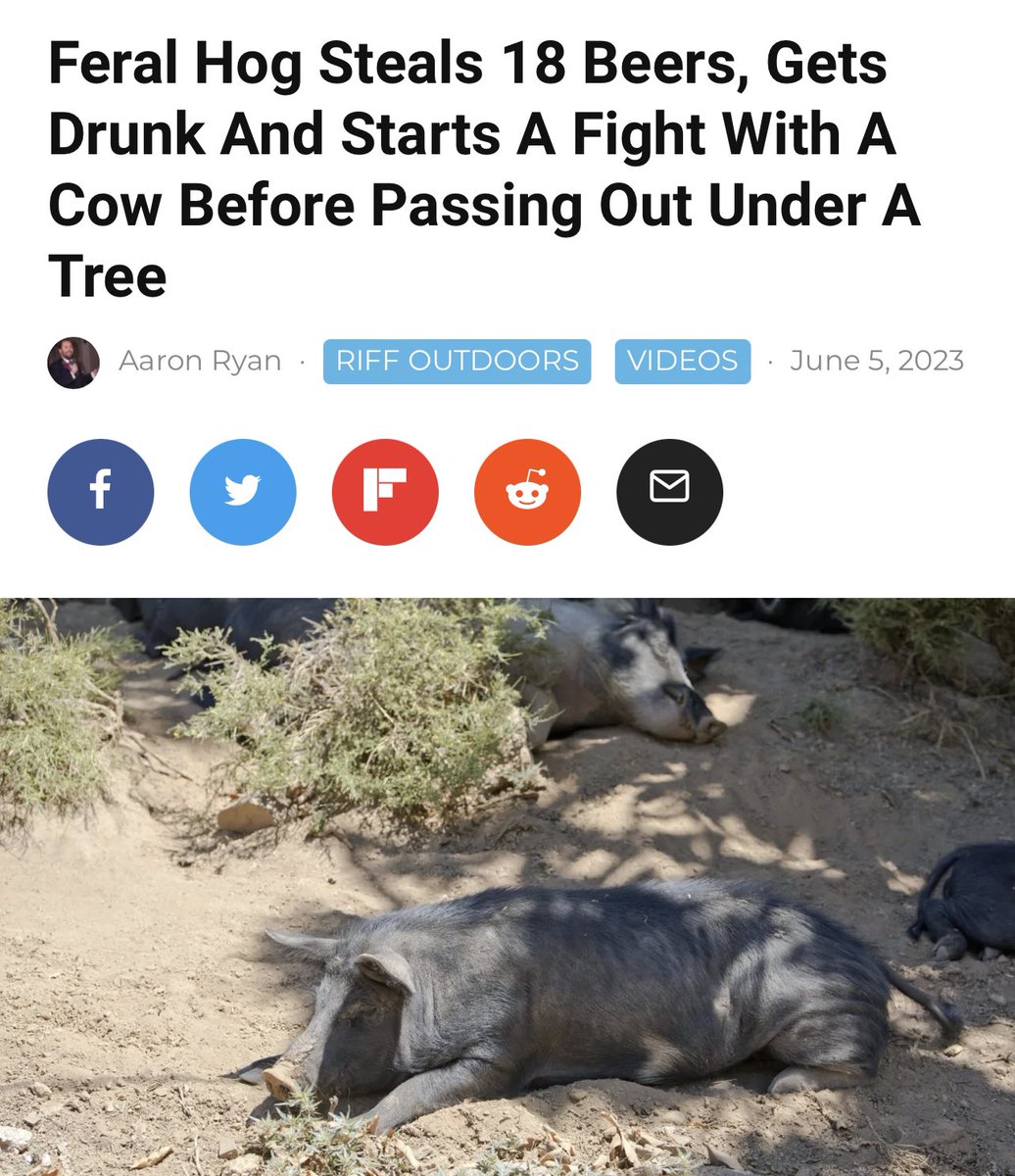 Zeni Zounds on Twitter: "It me"