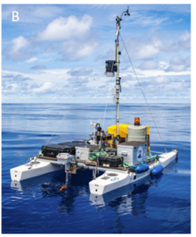 JGROceans's tweet photo. Using a remotely operated catamaran in the South Pacific, Gassen et al., report shallow (<1 m) freshwater lenses following rainfall that may be missed by conventional measurements #oceanography

https://t.co/Ie23getRCb https://t.co/pJYkpwSHhY