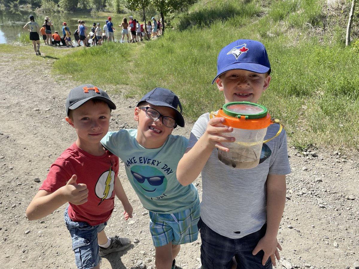 HollyZurak's tweet photo. In the past week we’ve had five classes visit the dairy fields to check out the tadpoles! Benvin, Nasuszny, Kolinsky, Ratko and Campbell. Thank you for engaging our students in outdoor learning! @HCTF_Education #WILDSchool #NesikaLearns @SD27_CC https://t.co/g0g9RNmTdn
