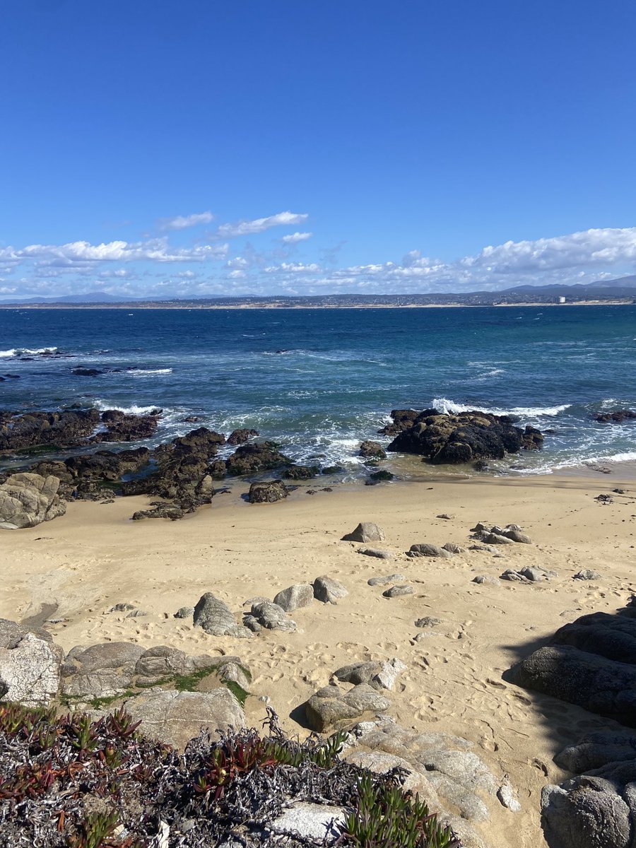 World #Ocean Day #MontereyBay National Marine Sanctuary