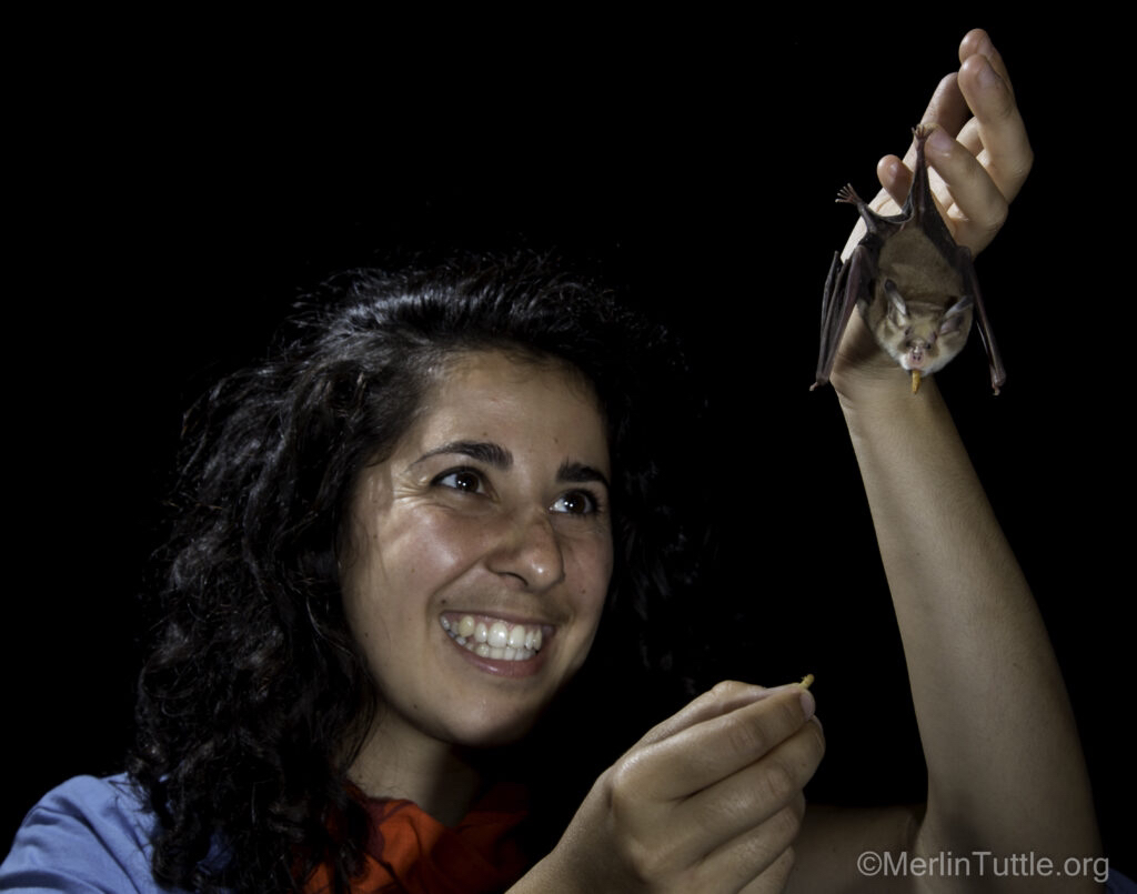 Merlin Tuttle’s Bat Conservation tweet media