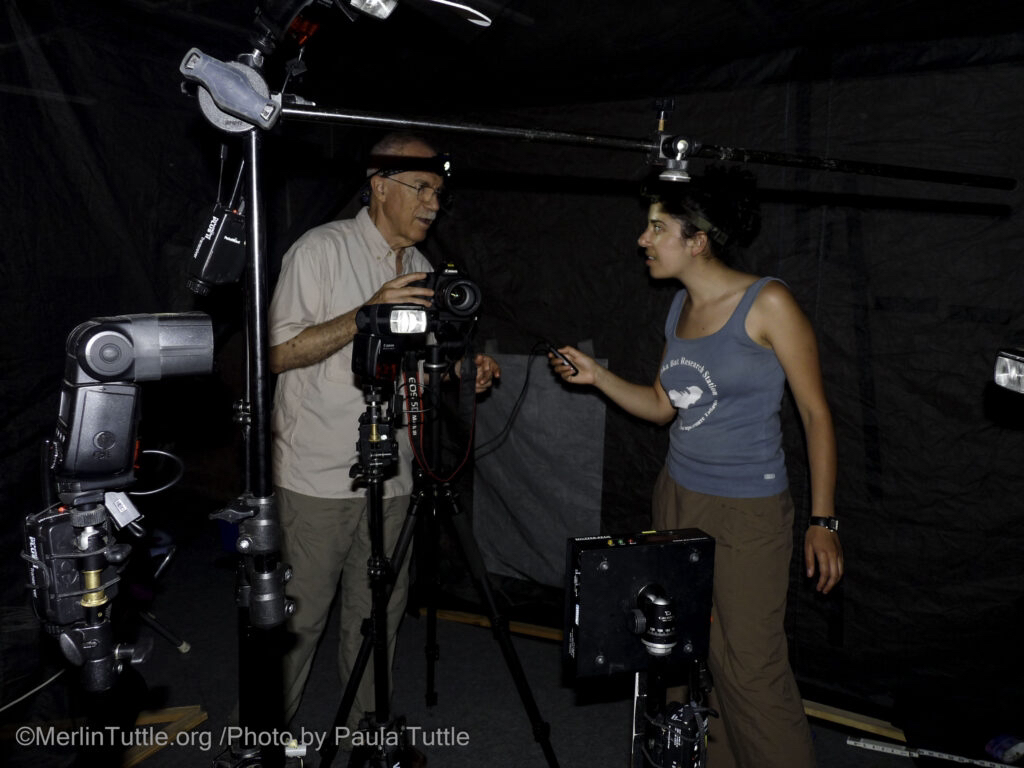 Merlin Tuttle’s Bat Conservation tweet media