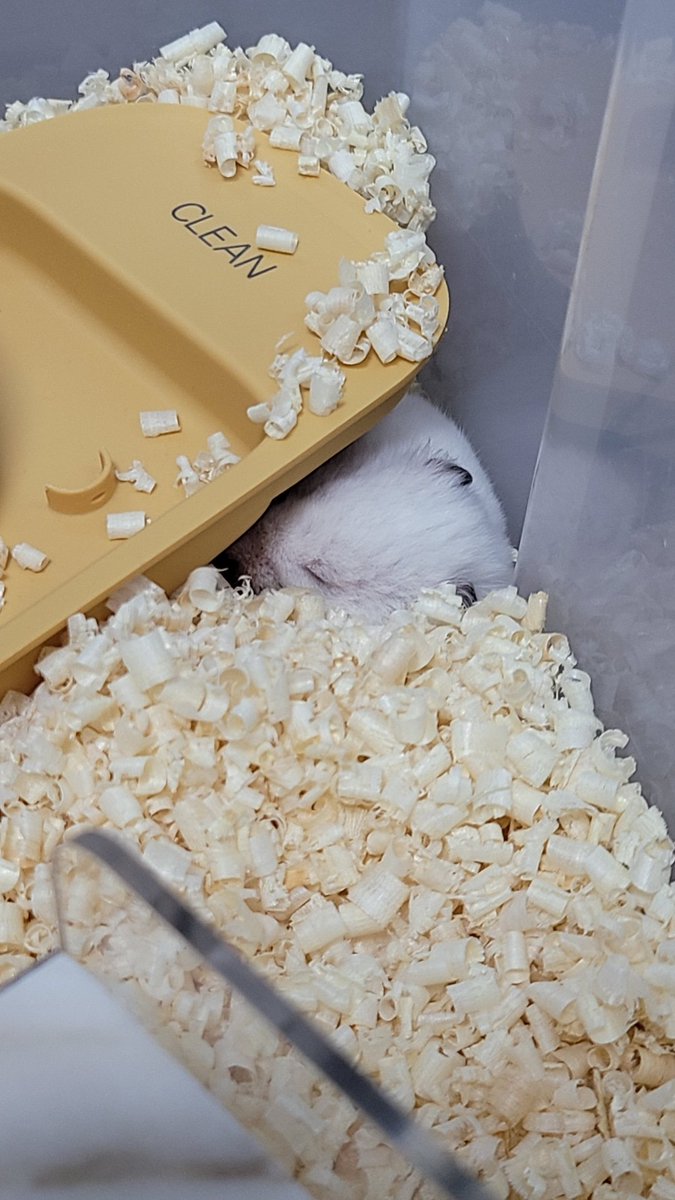 스윽)
누나 시간이써용?
아껴써용