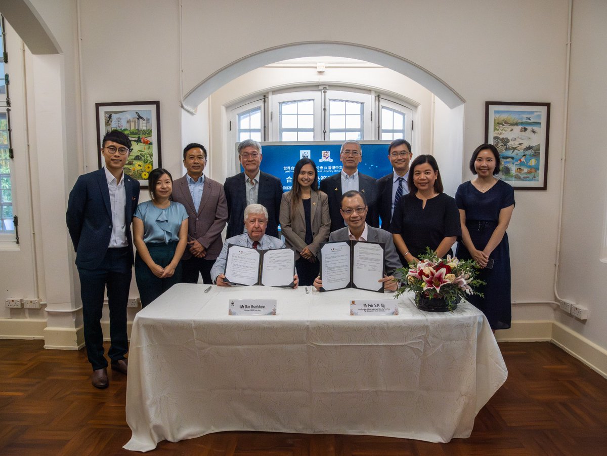 Apple Chui tweet media