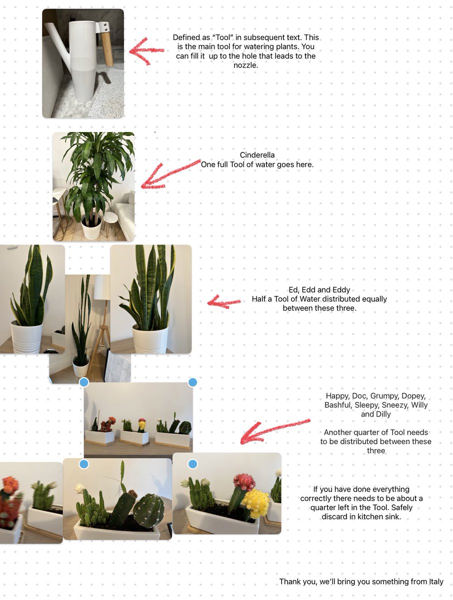 GregNikshumika's tweet image. The art of instruction #plantpapa #instructing #motivation #howto