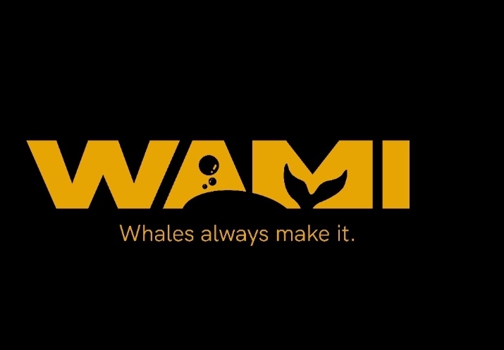 Tosyo 📺 tweet media