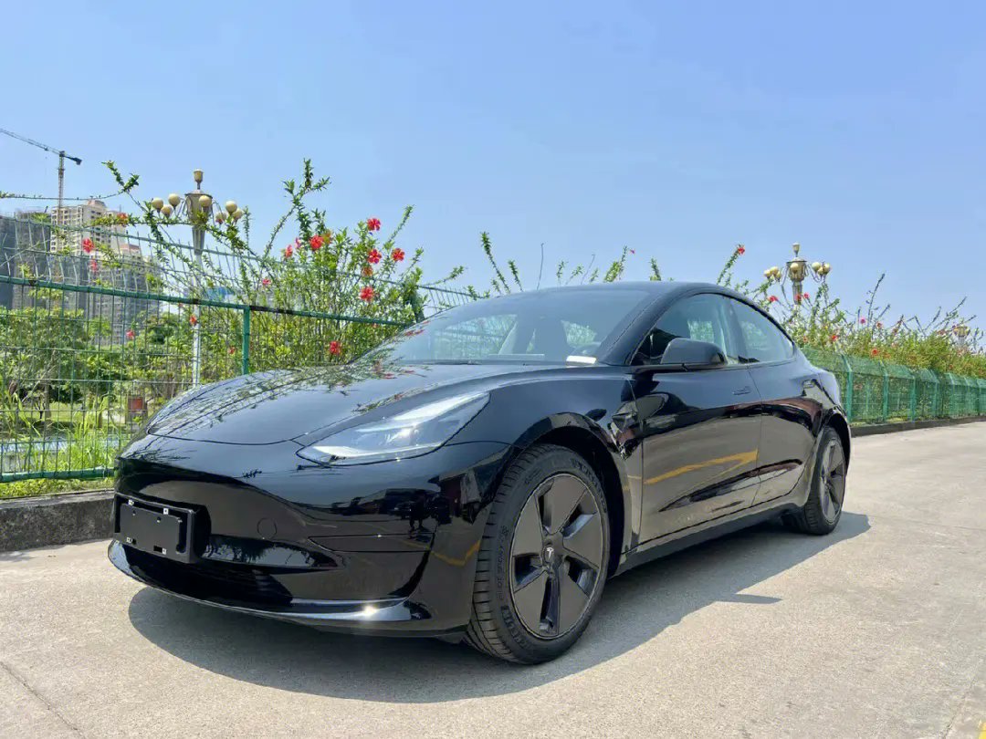 Make money to buy Tesla