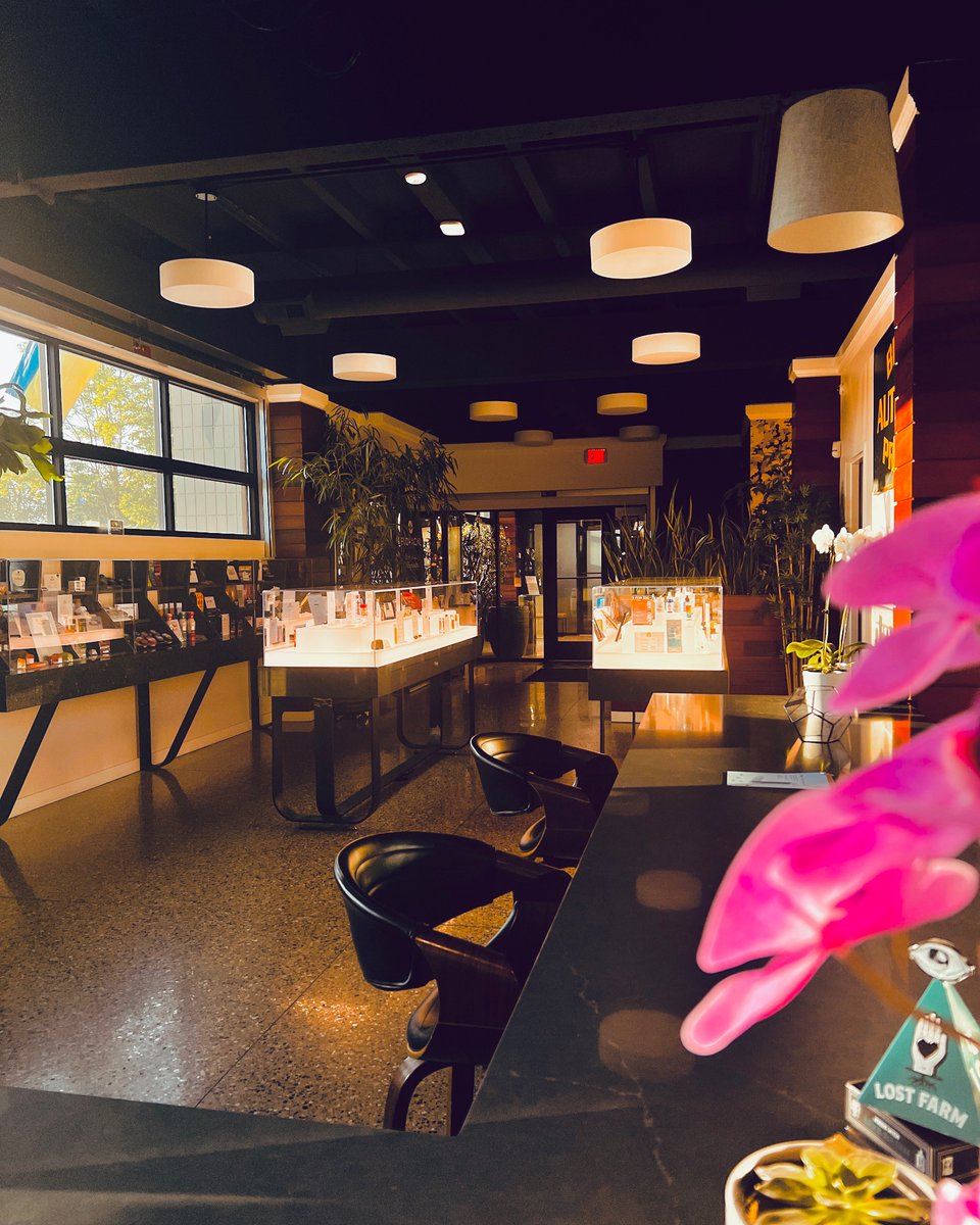 Twilight at Green Koi