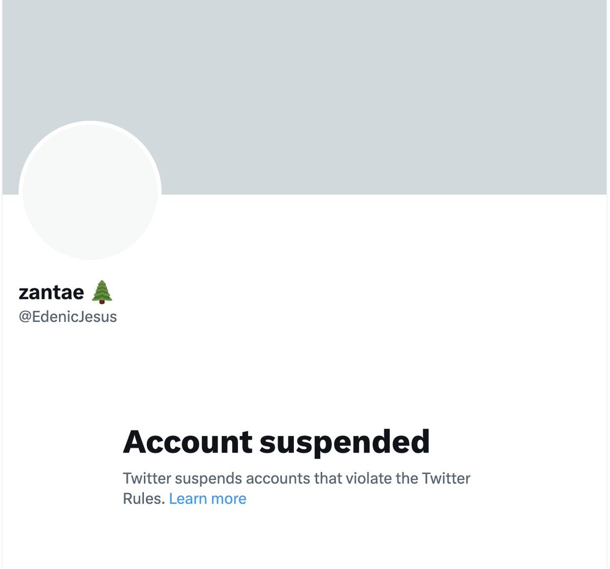 Why is @edenicjesus suspended the day after he released a beautiful new song? His account is nothing but a delight. @elonmusk please stop letting leftists mass report our friends to suspend them! Their work creative, beautiful + nourishes the soul. Twitter was better with Zantae!