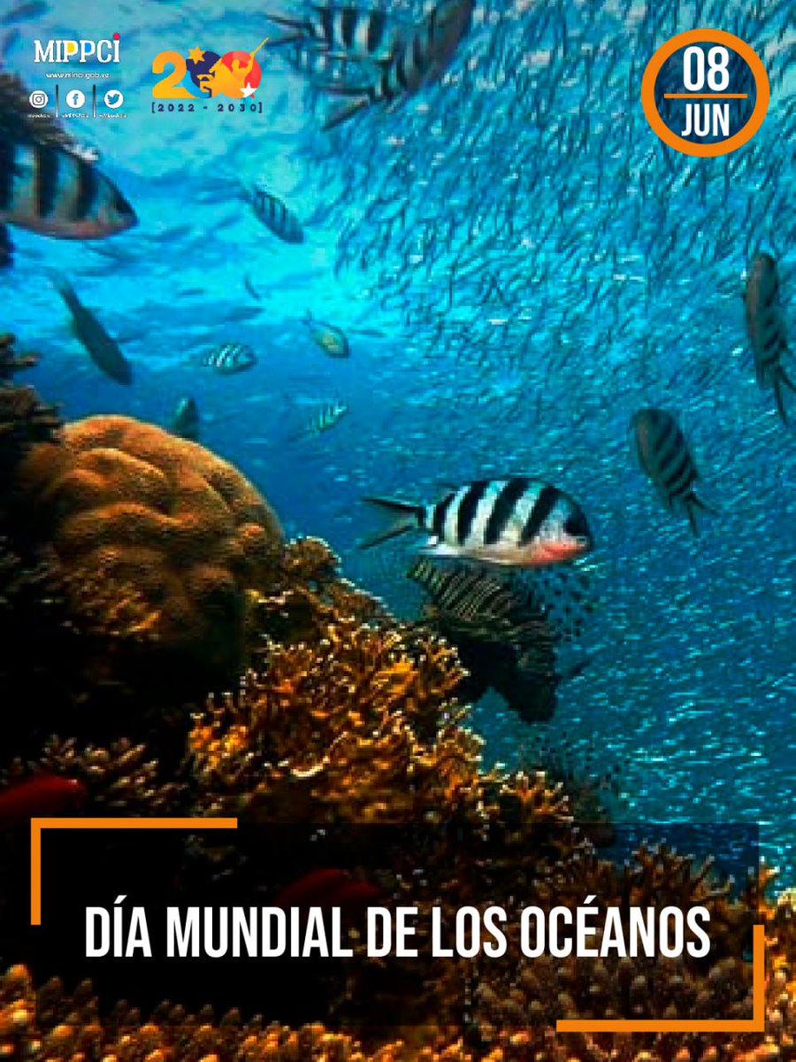 mippci_ven's tweet photo. Día Mundial de los Océanos.#8Jun 

#QueSeaHumanaLaHumanidad https://t.co/T6BwNk7mbT