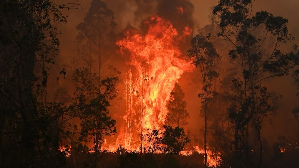 THREAD: POURQUOI L'HIVER TABASSE, ENCULE, BAISE, FUME, EXPLOSE, DÉMONTE, DÉSINTÈGRE, ANNIHILE L'ÉTÉ