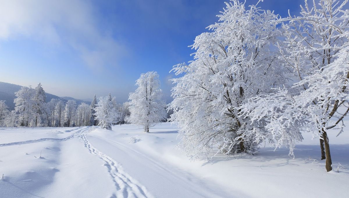 PessichimarU's tweet image. THREAD: POURQUOI L'HIVER TABASSE, ENCULE, BAISE, FUME, EXPLOSE, DÉMONTE, DÉSINTÈGRE, ANNIHILE L'ÉTÉ