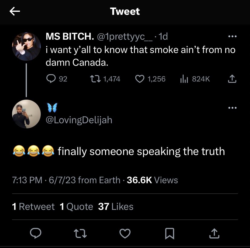 BUNNY⋆˚₊ 🎀⋆。˚ tweet media