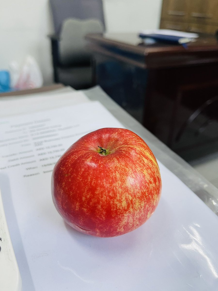 officialmarjune's tweet photo. Apel🍎Apol 🍏 https://t.co/9XKrWCbkKY