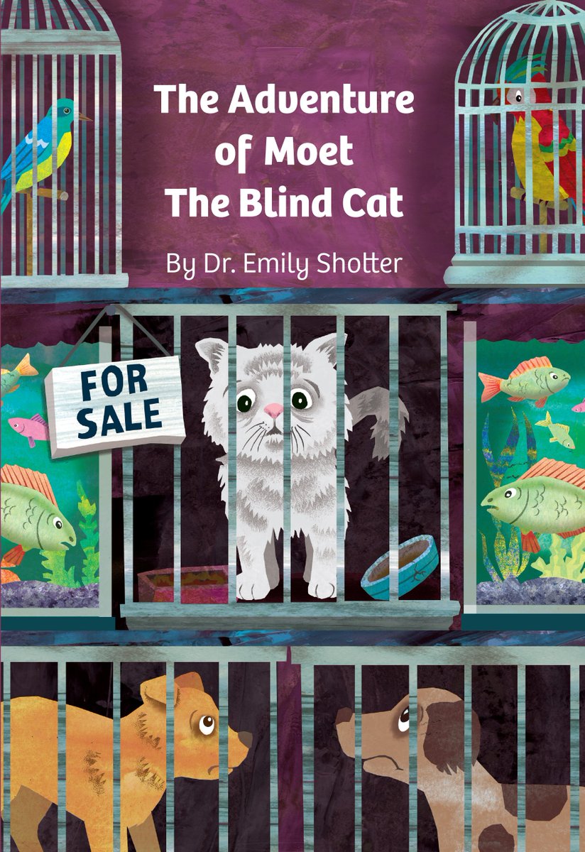 Moet the Blind Cat tweet media