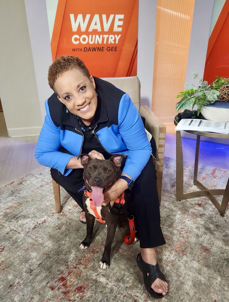 I want you to meet Lil’ Miss Cranberry!!  Such a Good Girl!!  She is ready for a good home right now.  She loves other dogs!  She is 1 year old.  Your family can visit Cranberry to see if she is your forever Fur baby at Animal House Adoption Center 3516 Newburg Road!!