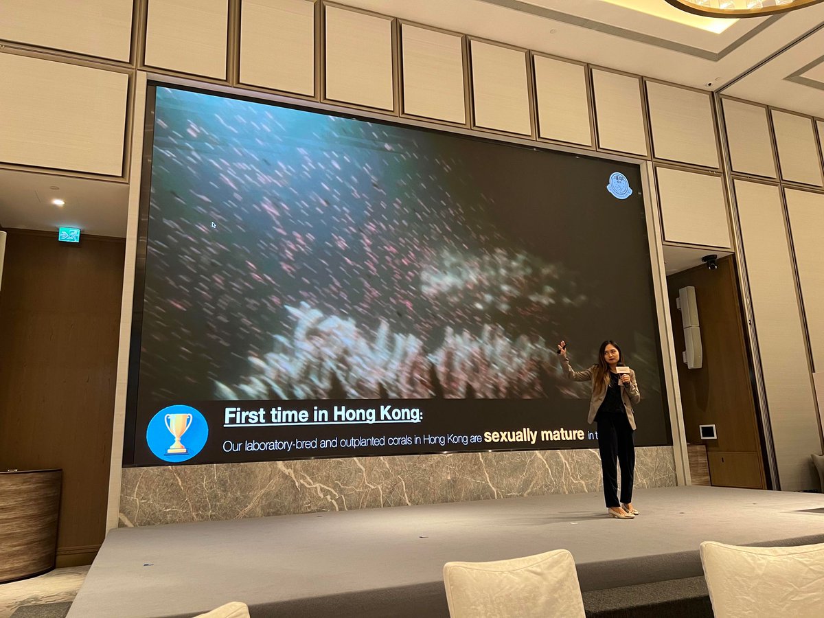 Apple Chui tweet media