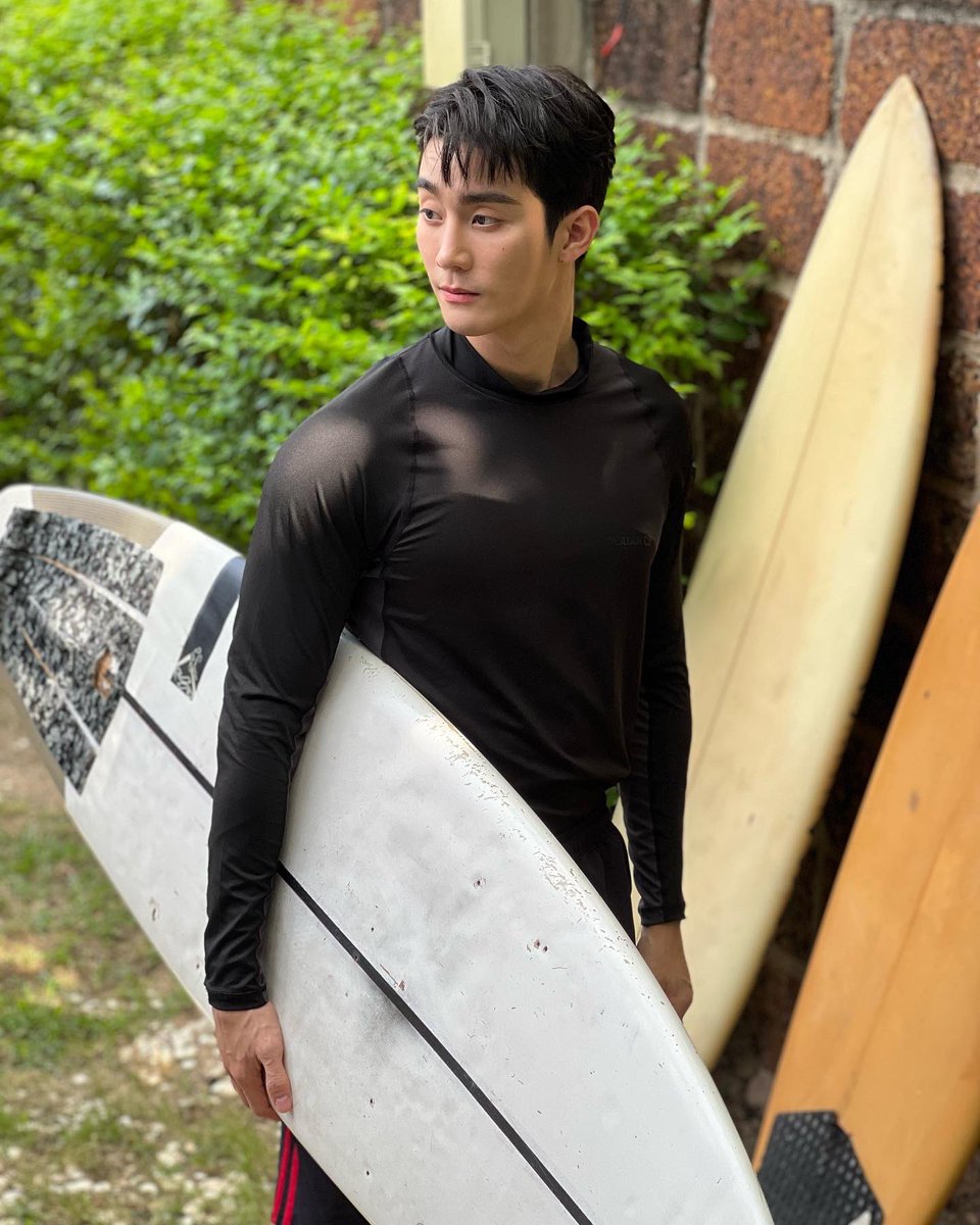 surf skate(🛹)*      or      surf board (🏄‍♂️)*