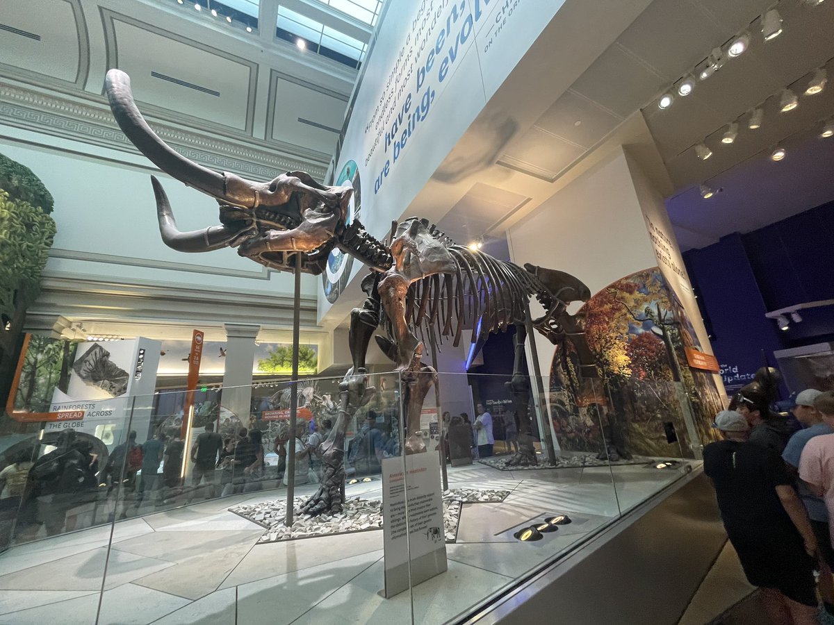 Katie Ralston, Ed.D tweet media