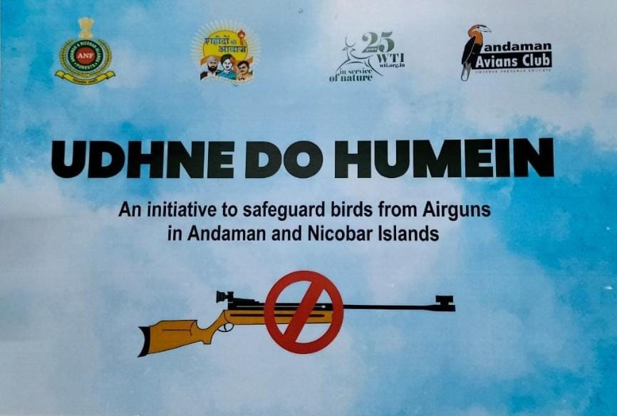 ANDAMAN AVIANS CLUB tweet media