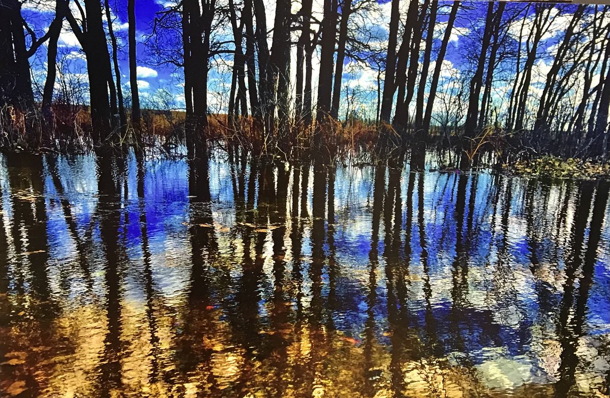 CindyNachtigall's tweet photo. 💜Fort Richmond Collegiate Film and Photography Night was “jaw dropping” inspiring showcasing    students films and photography.  Students gave heartfelt thanks to their teacher  Tom Reid who will retire. Bravo to all involved!👏⁦@FRCCenturions⁩  ⁦@PembinaTrails⁩ https://t.co/x4q7oe7Tci