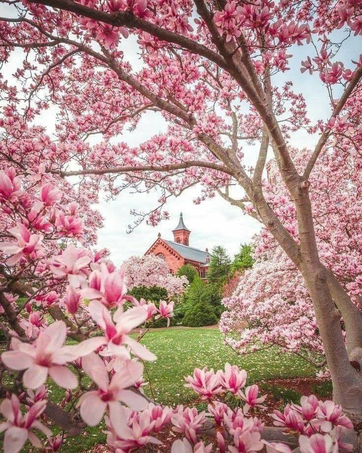 Good Morning 
Have a Beautiful Day 

(Washington D.C,USA📷Pinterest)