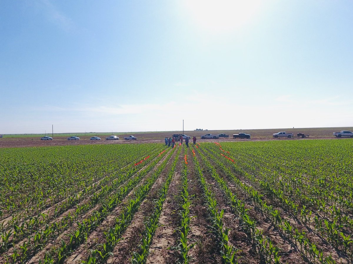 AgVenture High Plains ®️ tweet media