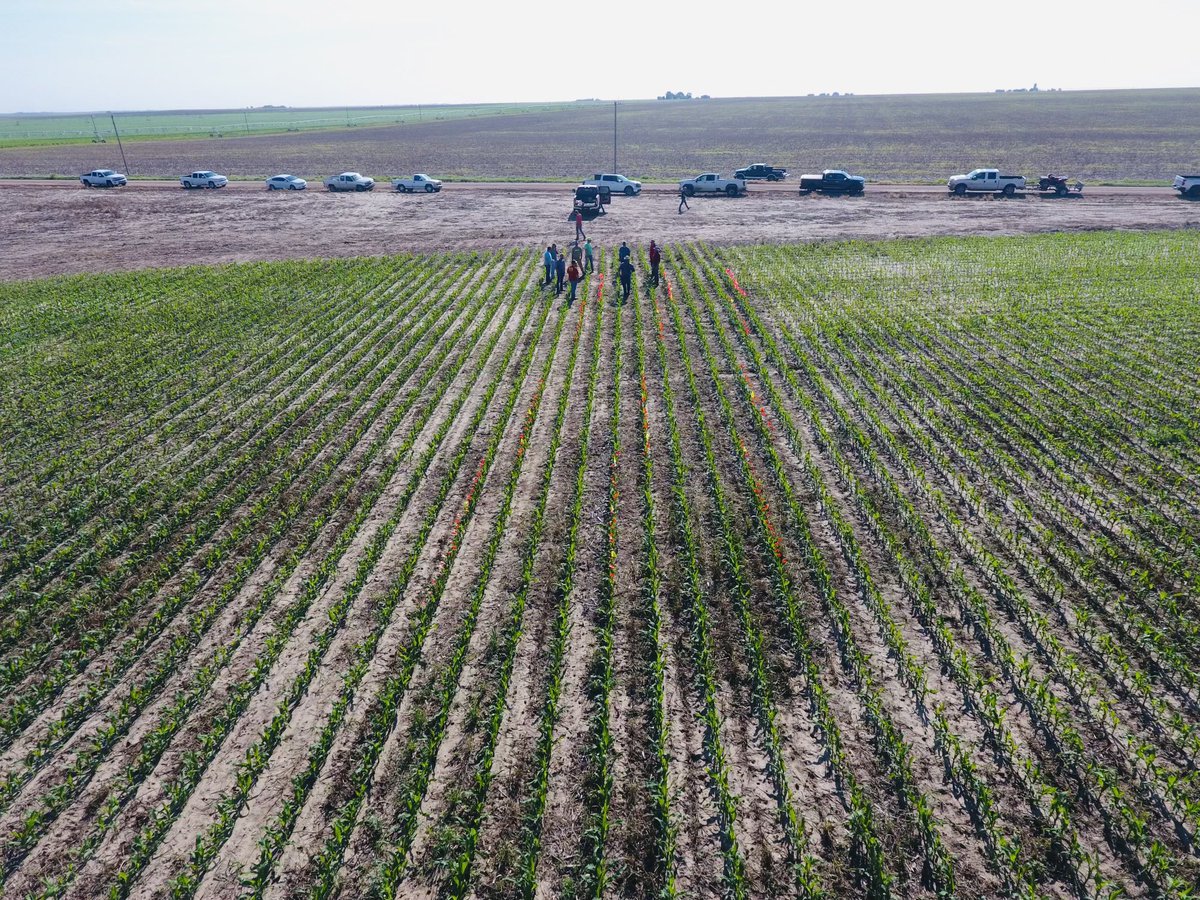Had a great coffee and donut discussion around NEPS and abnormals this morning with <a href="/620Custom/">Nic Koehn</a> and neighbors. Great times looking at a beautiful corn crop. #Corn23