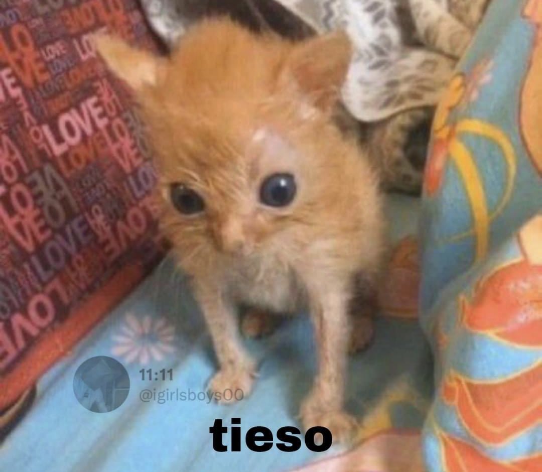 Él sin saber si guiarlo o si seguirlo-.