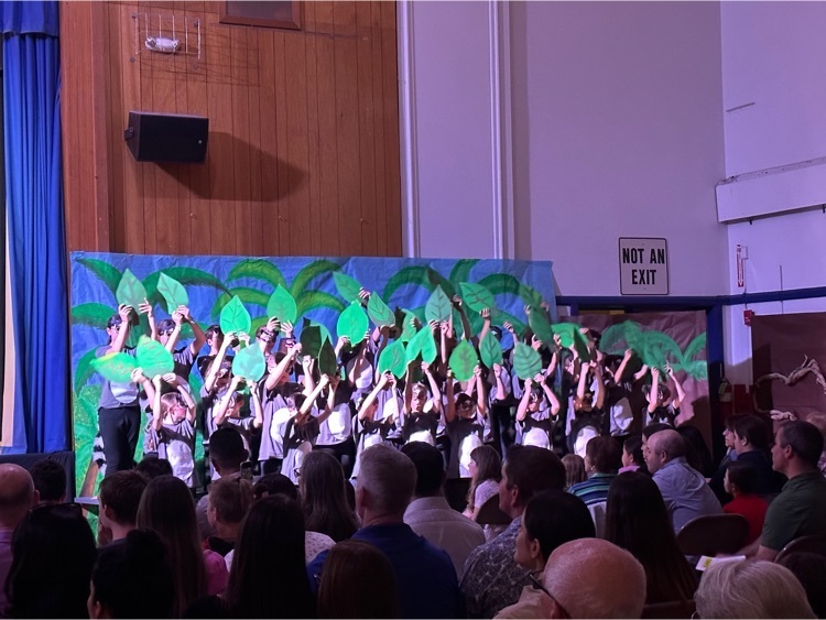 Washington School tweet media