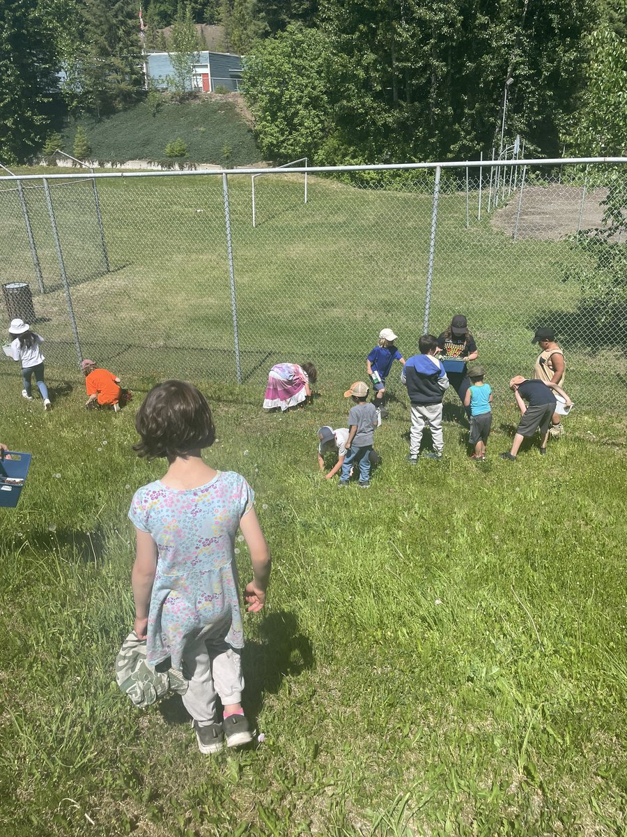 What a fun afternoon learning from our guest from invasive species council of BC. Was the perfect way to spend this hot afternoon. ☀️🌸🌺🌻🌿☀️
