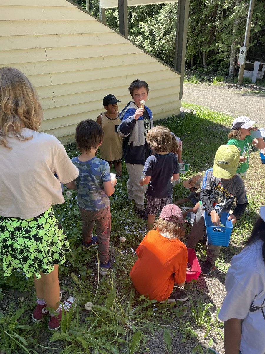 Mariah Bouchard tweet media