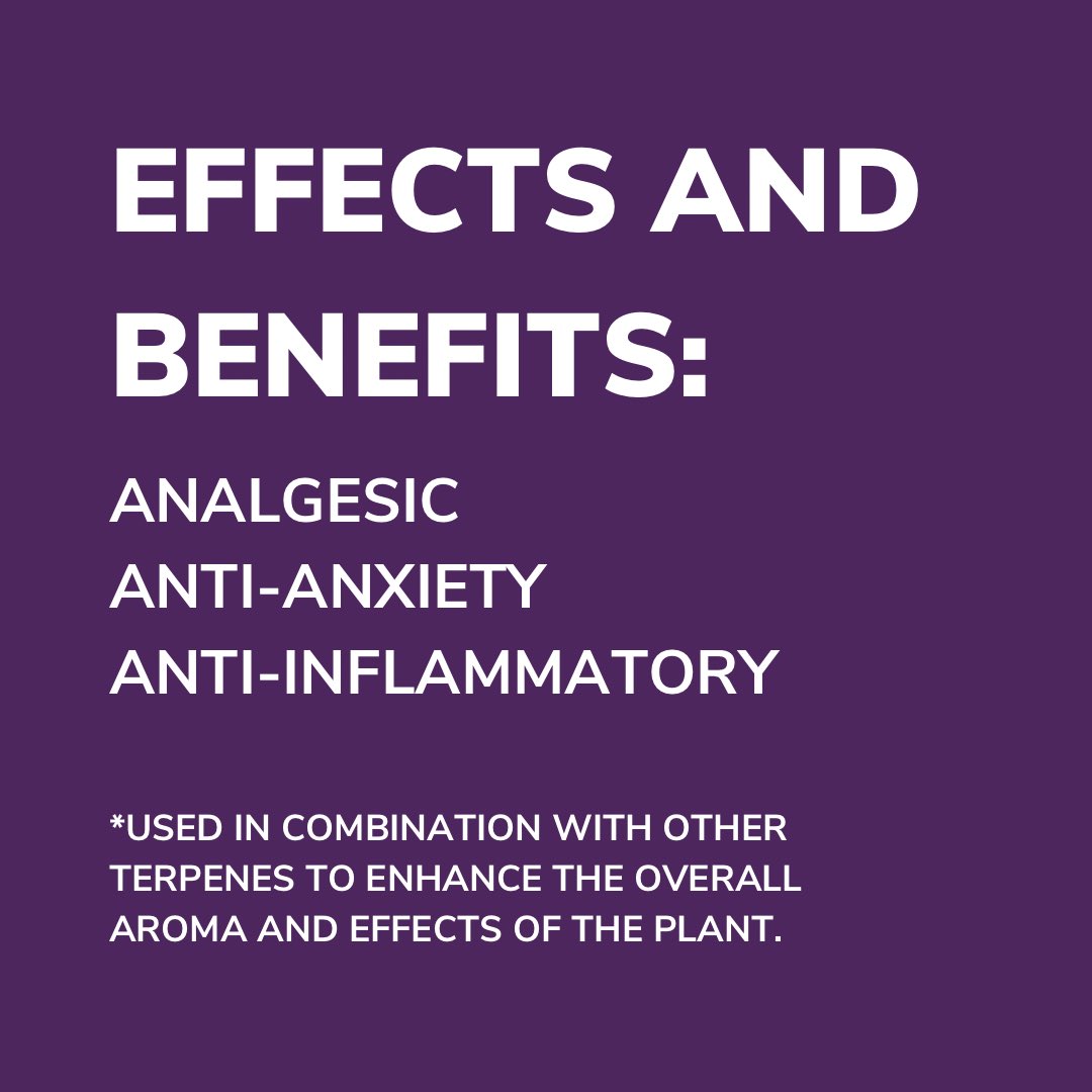 Swipe to learn about Linalool - aroma enhancer and insect repellent! 

18+ | For Educational Purposes Only | NFS