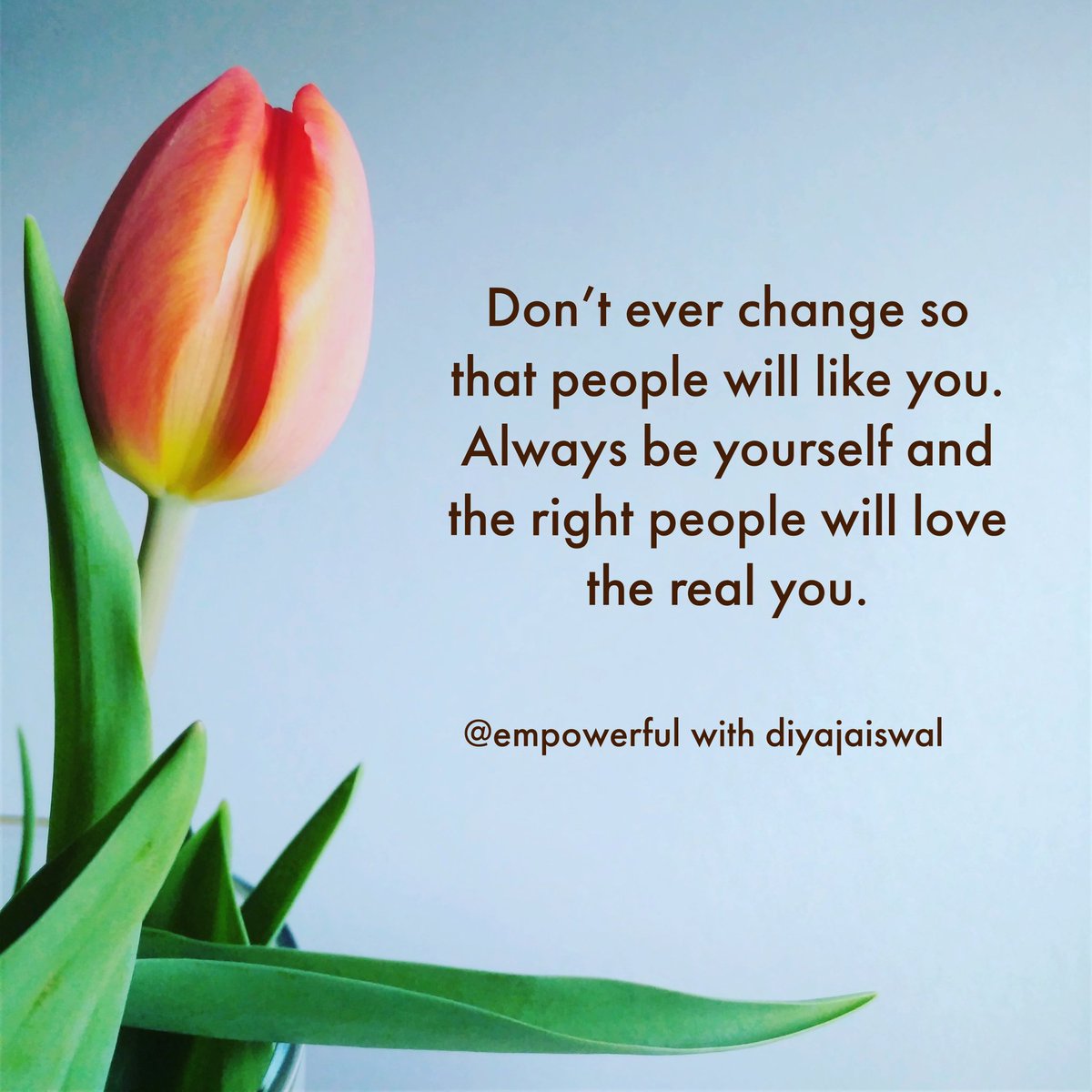 empowerful_diya's tweet photo. https://t.co/lrVHtWI3w9