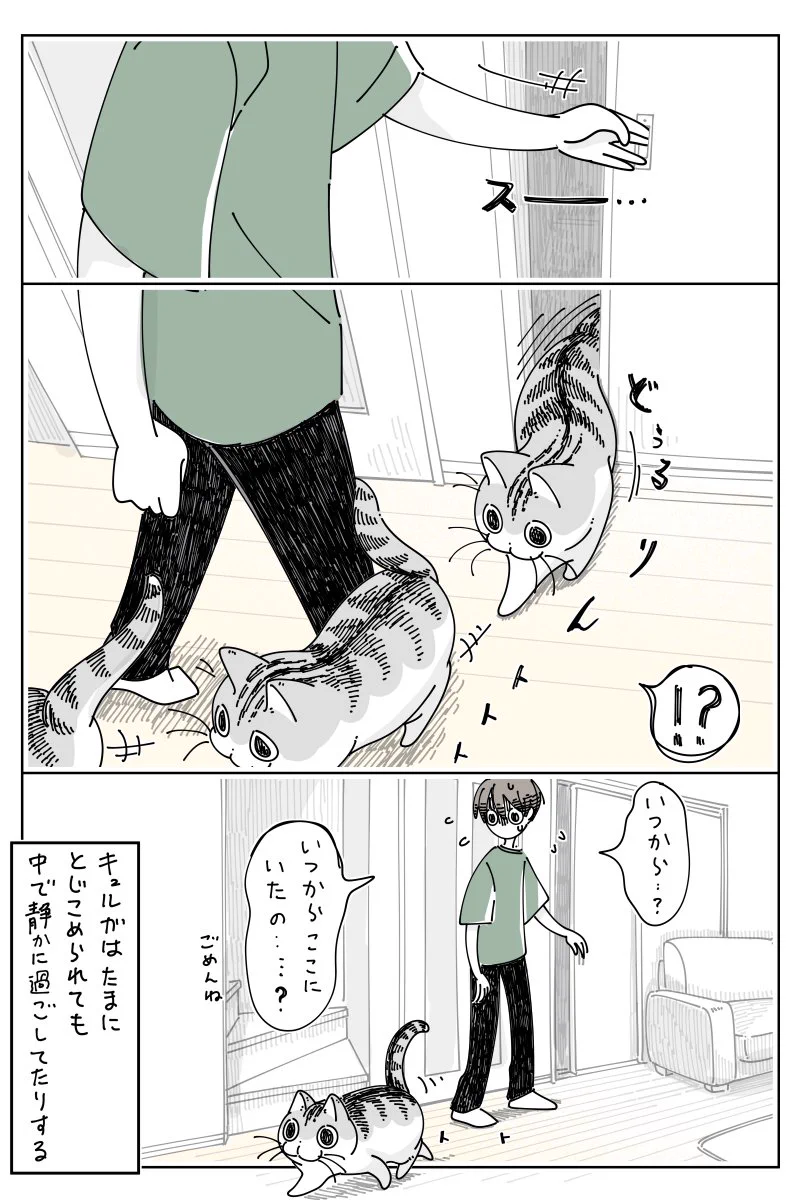 ハンカチを取ろうとして部屋の戸を開けたら･･･！可愛すぎる「猫漫画」が話題に！