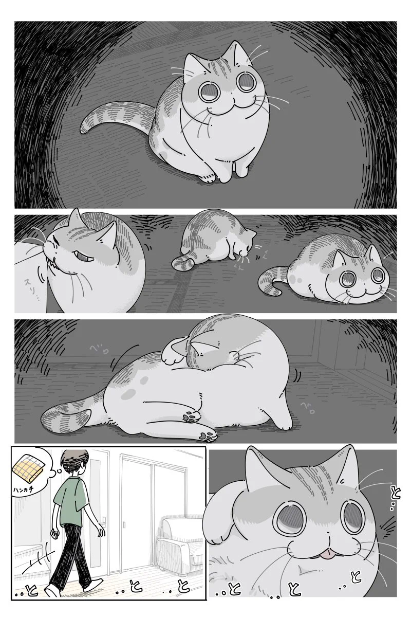 ハンカチを取ろうとして部屋の戸を開けたら･･･！可愛すぎる「猫漫画」が話題に！