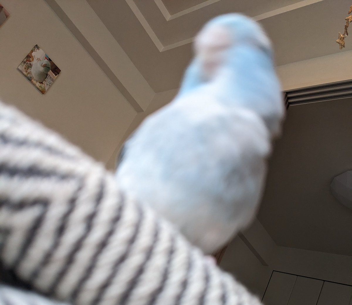 そらもう元気です