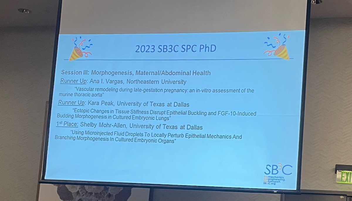 Rouzbeh Amini tweet media