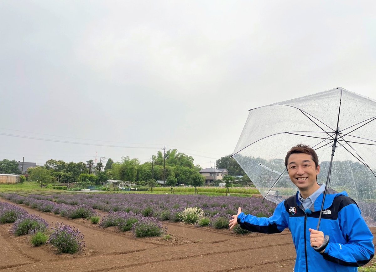 けさは千葉県佐倉市、佐倉ラベンダーランドからお伝えしました📺

合計6300株のラベンダーの中に、一つだけ白いラベンダーが！突然変異で咲いたそうですよ。

こちらでは7月中旬まで様々なラベンダーが楽しめます。

今週もTHE TIME,ありがとうございました！

#thetime_tbs