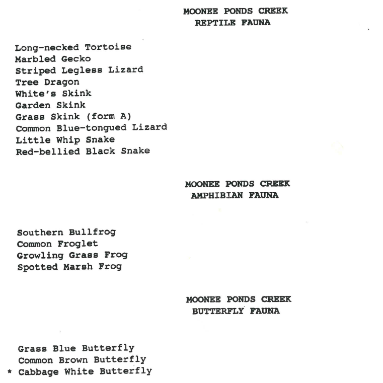 #FlashbackFriday ⏳ Here's some trivia to mark #WorldEnvironmentDay (Monday 5 June). In August 1977, a bottlenosed dolphin was found hanging out in the Moonee Ponds Creek. 🐬 Also for your perusal: a complete list of unexpected animals sighted in the Creek as of1991. 👀