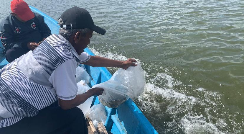 "Penebaran Benih Ikan Swadaya Kelompok Nelayan sekitar Waduk Gajah Mungkur Kabupaten Wonogiri"