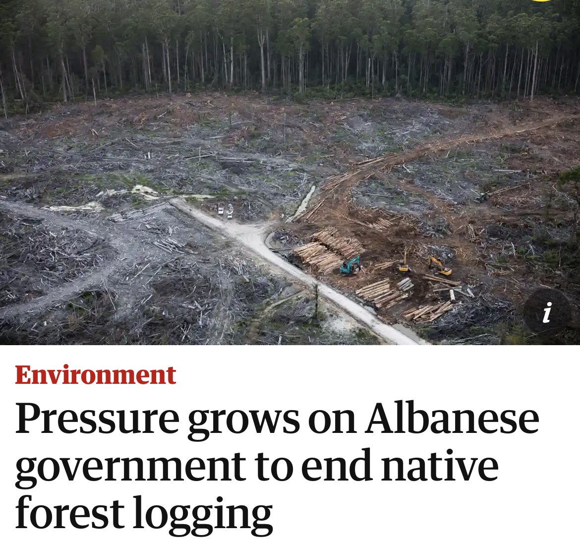 Environment Ministers from around the Country meet today. If ending native forest logging is not high on the agenda we’re in trouble. That’s because it  should’ve been done already if we are honest about taking action on the extinction & climate crises #nswpol