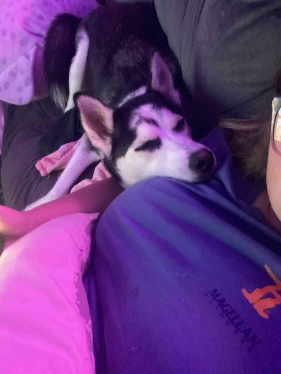 #mjesummer23 Pet selfie! #mjethird